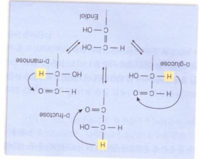 이성화 D-glucose 수용액 -> 약알칼리성 (OH - ) -> D-fructose, D-mannose 생성 D-glucose, D-fructose, D-mannose의 3번탄소이하의입체배열동일 수산이온 (OH - ) 의촉매작용에의해 D-glucose, D-mannose의 2번탄소의 H, D- fructose의 1번탄소의 H가각각카르보닐기의산소 (O)