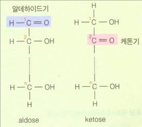 단당류 : 카보닐기의종류와탄소수에따라분류 1. 카보닐기의종류에의한분류 : 알데하이드기 vs. 케톤기 알도오스 (aldose): 카보닐기가알데하이드기, 포도당 (glucose) 케토오스 (ketose): 카보닐기가케톤기, 과당 (fructose) aldose vs. ketose glyceraldehyde vs.