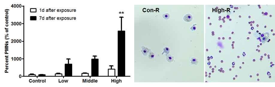 생활주변유해화학물질인체독성연구 (II) 염증세포인다형핵백혈구 (PMNs) 가 GA 노출군의농도군에서유의성은나타나지않았으나증가하는경향성이나타났다.