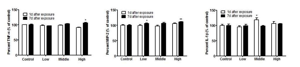 III. 연구결과및고찰 <Figure 21> Pulmonary inflammation induced by Glycolic acid (GA) sub-acute exposure in rats.