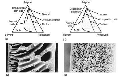 Figure 3. 순간상분리 (a) 와지연상분리 (b) 에따라형성된막단면전자현미경사진. 후이를고분자에대해비용매인응고조에침지한다.