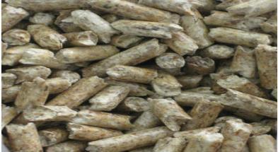 Biomass Fuels for Electricity Generation Woody Biomass -
