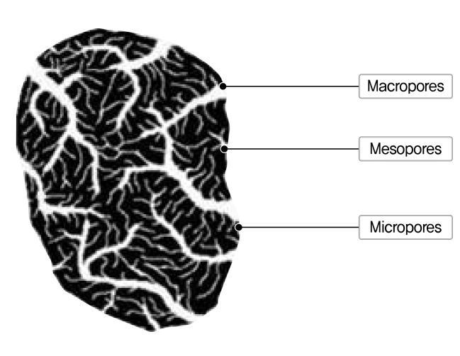<Fig. 2-12> Schematic of microporous, mesoporous, macroporous (The civil engineering LEXICON,2014) (1) 마이크로공극 (Microporous) 마이크로공극은주로내부공극의대부분이면적으로적용된다.