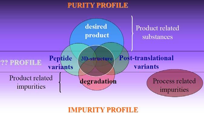 Identification and RA of Quality Attributes Product-Related Substances and Impurities 제품관련성분및불순물 Desired Product 원하는제품 (1) 예상되는구조의단백질또는 (2) DNA 서열및예상되는번역후수정 (glycoform 포함 )