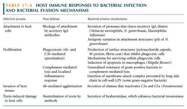 그림 : Overview of the DTH response B) Bacterial evasion of host defense mechanisms - Bacterial infection의 four primary steps Attachment to