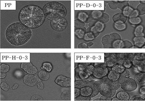 분지형폴리프로필렌의비등온결정화거동연구 249 Table 3. Avrami Exponents and Activation Energies of the Branched PPs Sample 1 o C/min 10 o C/min Activation energy n K( 10-8 ) n K( 10-6 ) (KJ/mol) PP 3.05 1.10 3.23 1.45 25.