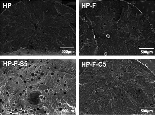 SEM images of m-pp/nano-filler composites with foaming agent. 영역에서증가하는경향을보이나 MWCNT 대비증가폭이적은원인으로해석될수있다. m-pp 와 m-pp/ 나노필러복합체의발포거동을비교하기위하여주사전자현미경분석을실시하였다.