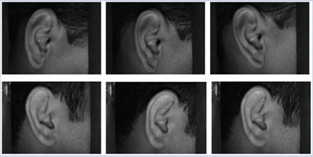 심층학습 ) 등을적용해본다. Ear biometric Speech recognition 그림 1.
