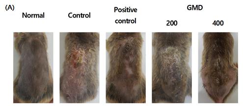 류지연외 6 인 : 감맥대조탕이 DNCB 로유발된생쥐의아토피피부염에미치는영향 3.