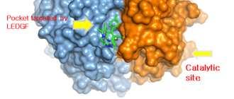 Non-Catalytic Site Integrase Inhibitor Market Reverse Transcriptase Inhibitor Protease Inhibitors (PI) Catalytic-site