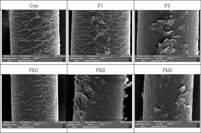 Fig. 52. SEM images of the hair cuticle with treated fermented Sparassis latifolia. SPF: fermented Sparassis latifolia solution.
