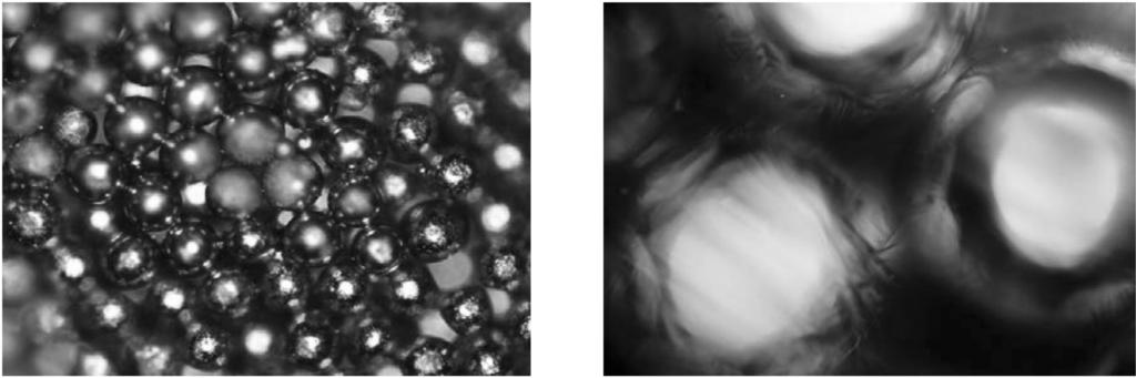 Ti ball coating v p core 99 Fig. 8. Appearance of Ti ball(90 µm) sintered by spark plasma sintering. Table 1.