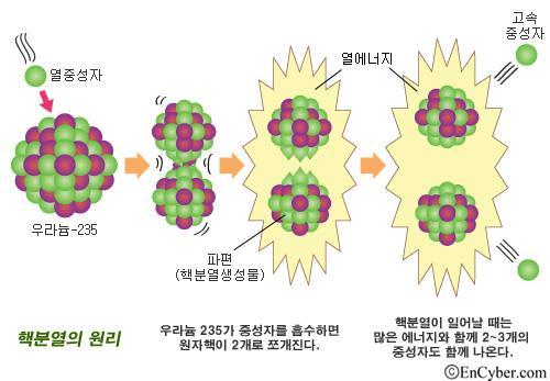5) 핵분열반응 큰원자 ( 보통우라늄, 플루토늄 ) 의원자핵이두개이상의다른원자핵으로쪼개지는현상 핵분열의결과로보통 2,
