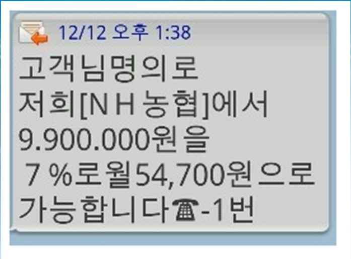 전자금융거래법위반 (