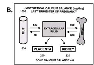 [출처] Naylor KE, Iqbal P, Fledelius C, et al. The effects of pregnancy on bone density and bone turnover. J Bone Mine Res 2000;15:129-37. <그림 20> 임신 전과 분만 후 골밀도의 변화 : *p<0.05,**p<0.