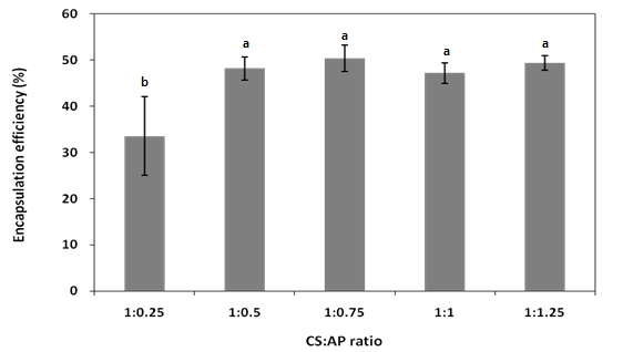 Ascorbyl palmitate/ acetic acid 나노입자의 포집효율 및 함유효율 다양한 비율의 AP를 첨가한 AP/AA 나노입자의 포집효율 및 함유효율을 관측하였다. <Figure 13>에서와 같이 포집효율은 AP의 함량이 증가함에 따라 유의적으로 증가하는 것으로 보여졌다. 또한 1:0.
