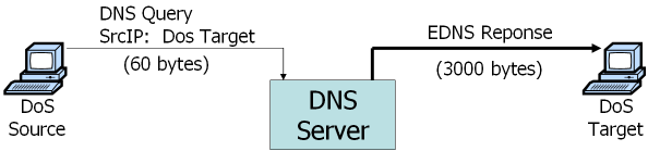 DNS Amplification Attack - DNS Amplification 원리 이 공격은 말 그대로 DNS 를 이용하여 트래픽의 용량을 증폭(amplification) 을 시켜서 공격하는 기법이다. 공격자는 아주 적은 용량의 UDP DNS를 DNS 서버에 요청을 하게 되는데, 응답은 많은 용량의 패킷을 받을 수 있다.