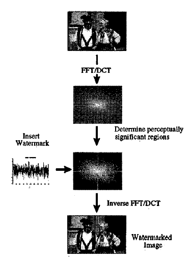 Ingemar J. Cox, et. Al., Secure Spread Spectrum Watermarking for Multimedia, IEEE Trans. On Image Processing, Vol.