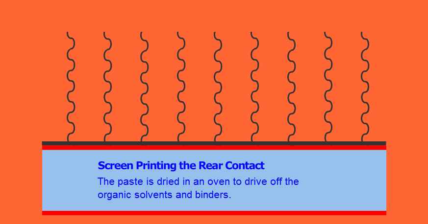 6) Screen printing the rear contact : 웨이퍼를 뒤집은 다음에 스크린을 웨이퍼 후면 위로 내린다. (Ag의 그리드가 값이 더 싸지만 후면전계(back surface field : BSF)를 형성하지 못한다.