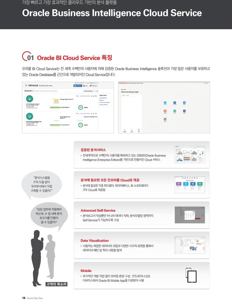 OBIEE(Oracle Business Intelligence Enterprise Edition) Cloud IT? Cloud,, BI Cloud.