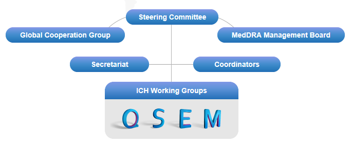 ICH 옵저버(ICH Observer) - WHO, 캐나다, 유럽자유무역협회(EFTA)로 구성되었고 각 party마다 1명의 대표직이 선 입되고 이들은 ICH와 ICH비회원국간의 관계를 연결해주는 역할을 한다. ICH 옵저버는 ICH운영위원회 회의에는 참석은 가능하나 투표권이 없다.
