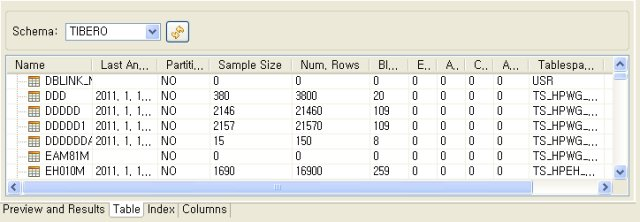 아이콘 분석 요청을 보내는 script를 보여준다. [Database and Schemas] 탭 분석된 결과는 아래 화면을 통해서 확인할 수 있다.