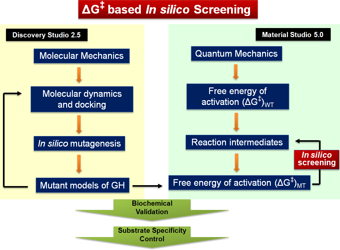 Fig. 35. QM/MM 기법을 이용한 K d 및 G + based in silico screening 시스템. - K d, G + 계산을 위한 Material Studio는 무기화학 혹은 재료 분야에서 주로 사용되며, 효소 분야에서는, 특히 이와 같은 스크리닝 목적으로는 사용이 보고되지 않고 있다.