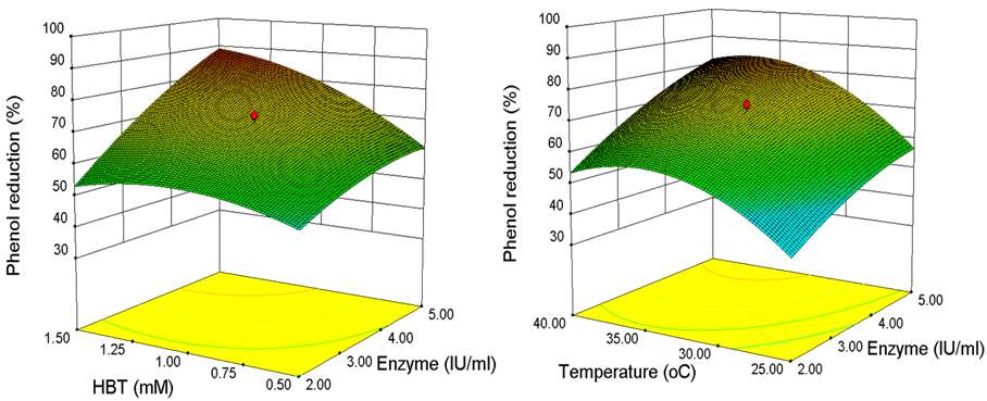 Fig. 53. RSM optimization of rice straw detoxification by YlLac. (A) relationship between HBT and enzyme concentration; (B) relationship between temperature and enzyme concentration.