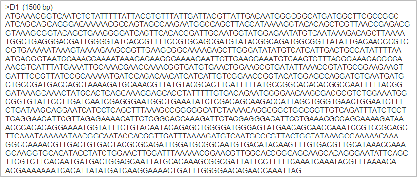 그림 1-6. JK-L15 F/R primer와 분리균주 D1의 cdna의 PCR을 통한 cellulase 유전자 증폭. Cloning된 PCR 결과물의 염기서열을 분석한 결과 cloning된 유전자는 Bacillus subtilis AH18의 cellulase gene과 가장 유사하여 B.