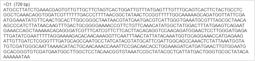 73)과 가장 유사하여 B. subtilis 유래 cellulase gene (cell 73)으로 확인되었으며(그림 1-10, 11), E2 균주로부터 cloning 된 유전자는 Bacillus subtilis beta-1,3-1,4 glucanase gene과 가장 유사하여 B.