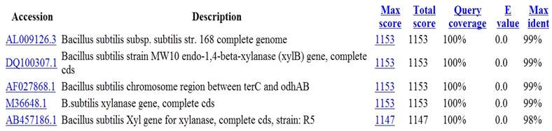 JK-Xyn F/R primer와 분리균주 D1, D2, D4, E2, F8, G3, G5의 cdna의 PCR을 통한 xylanase 유전자 증폭.