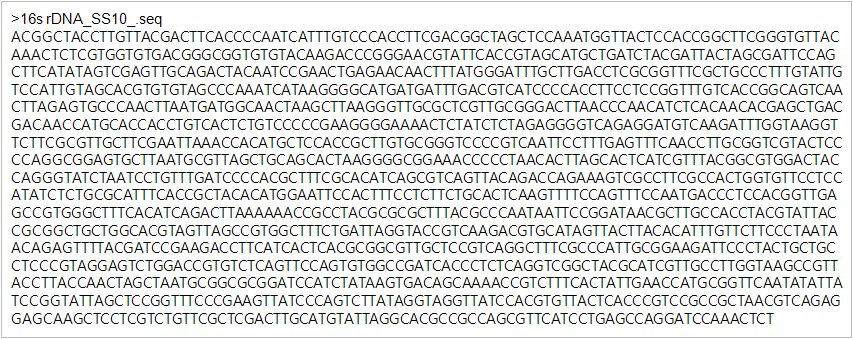 그림 1-27. 분리균주 SS5의 16s rdna 염기서열의 NCBI blast search 결과. 그림 1-28. 분리균주 SS8의 16s rdna 염기서열. 그림 1-29.