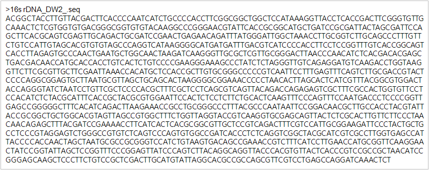 그림 1-32. 분리균주 DS1의 16s rdna 염기서열. 그림 1-33. 분리균주 DS1의 16s rdna 염기서열의 NCBI blast search 결과.