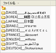 인터넷디스크를 이용 사용자 UI의 다국어 및 유니코드 지원 한국어, 영어,