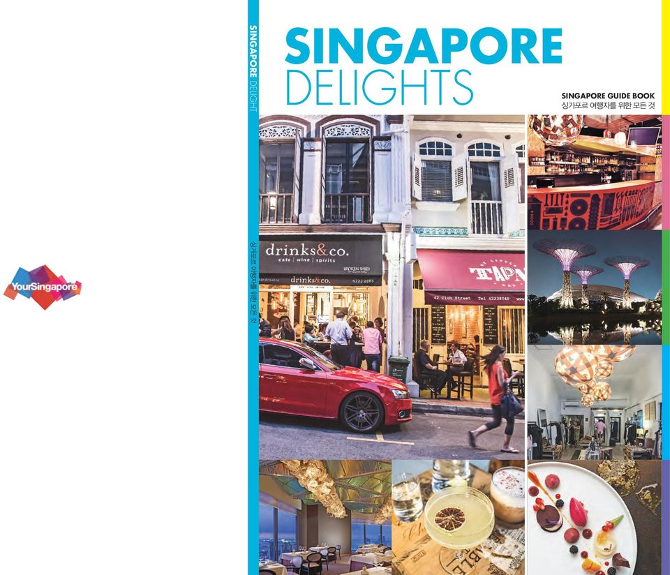 싱가포르 여행자를 위한 모든 것 싱가포르