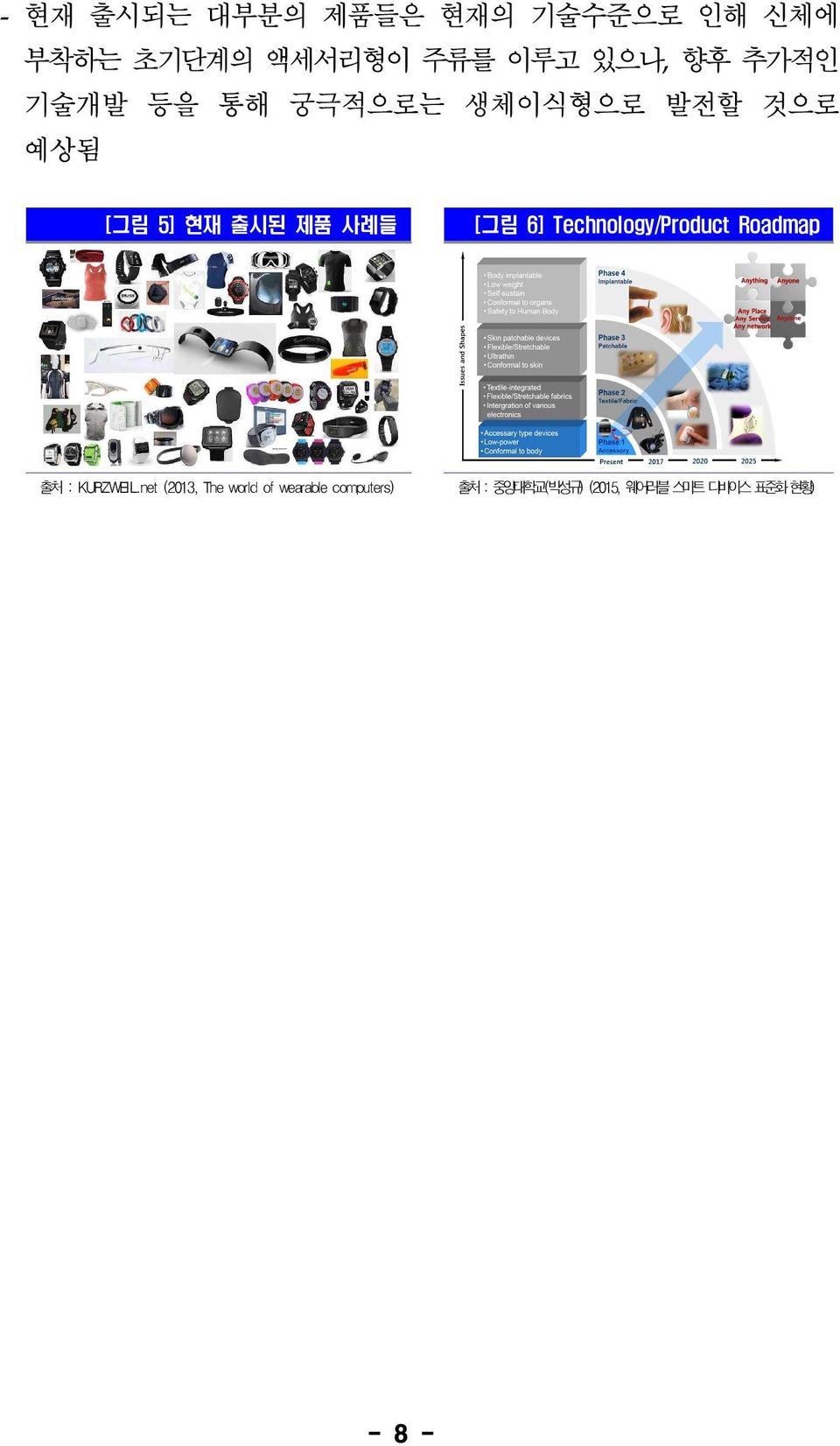 [그림 6] Technology/Product Roadmap 출처 : KURZWEIL.