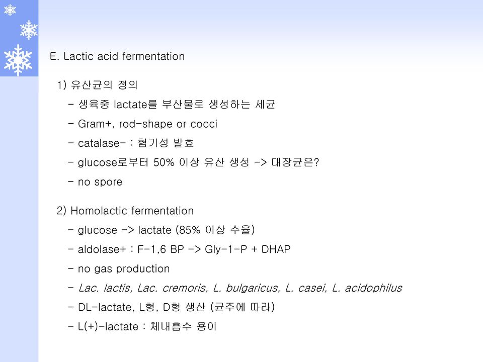 - no spore 2) Homolactic fermentation - glucose -> lactate (85% 이상 수율) - aldolase+ : F-1,6 BP ->