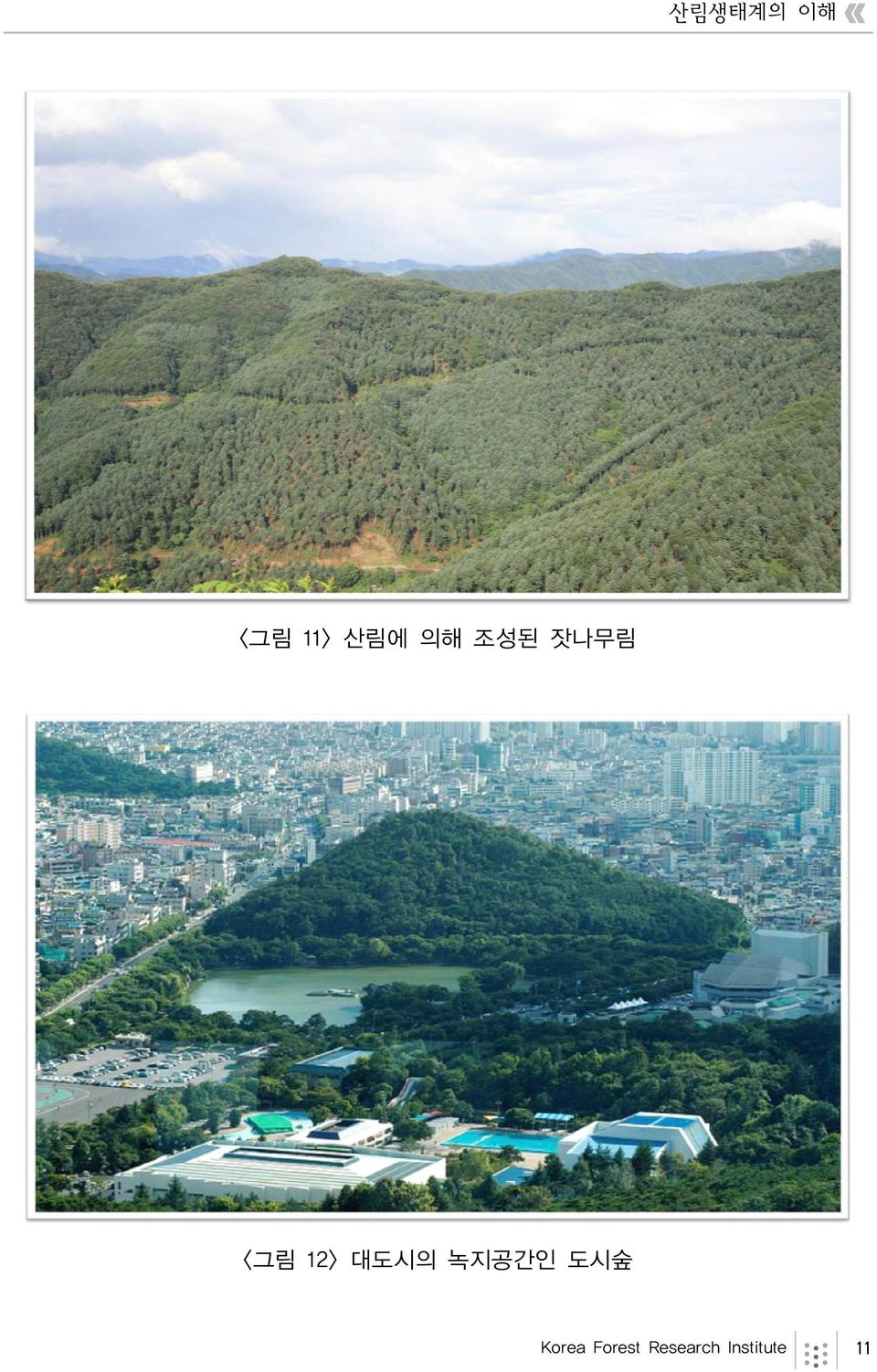 대도시의 녹지공간인 도시숲 Korea