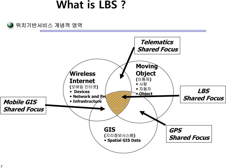 Focus Wireless Internet (모바일 인터넷) Devices Network and