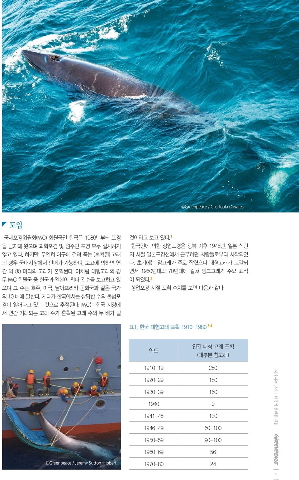 게다가 한국에서는 상당한 수의 불법포 경이 일어나고 있는 것으로 추정된다. IWC는 한국 시장에 서 연간 거래되는 고래 수가 혼획된 고래 수의 두 배가 될 것이라고 보고 있다. 1 한국인에 의한 상업포경은 광복 이후 1946년, 일본 식민 지 시절 일본포경선에서 근무하던 사람들로부터 시작되었 다.
