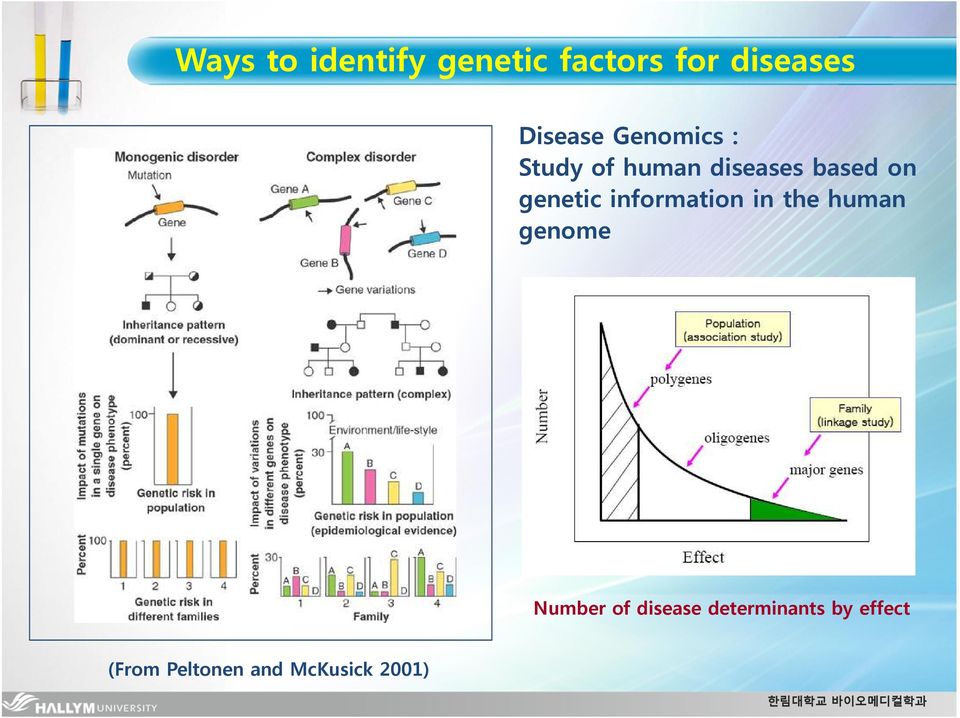 genetic information in the human genome Number of