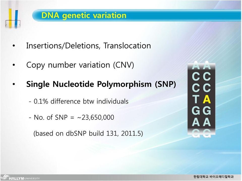 Nucleotide Polymorphism (SNP) - 0.