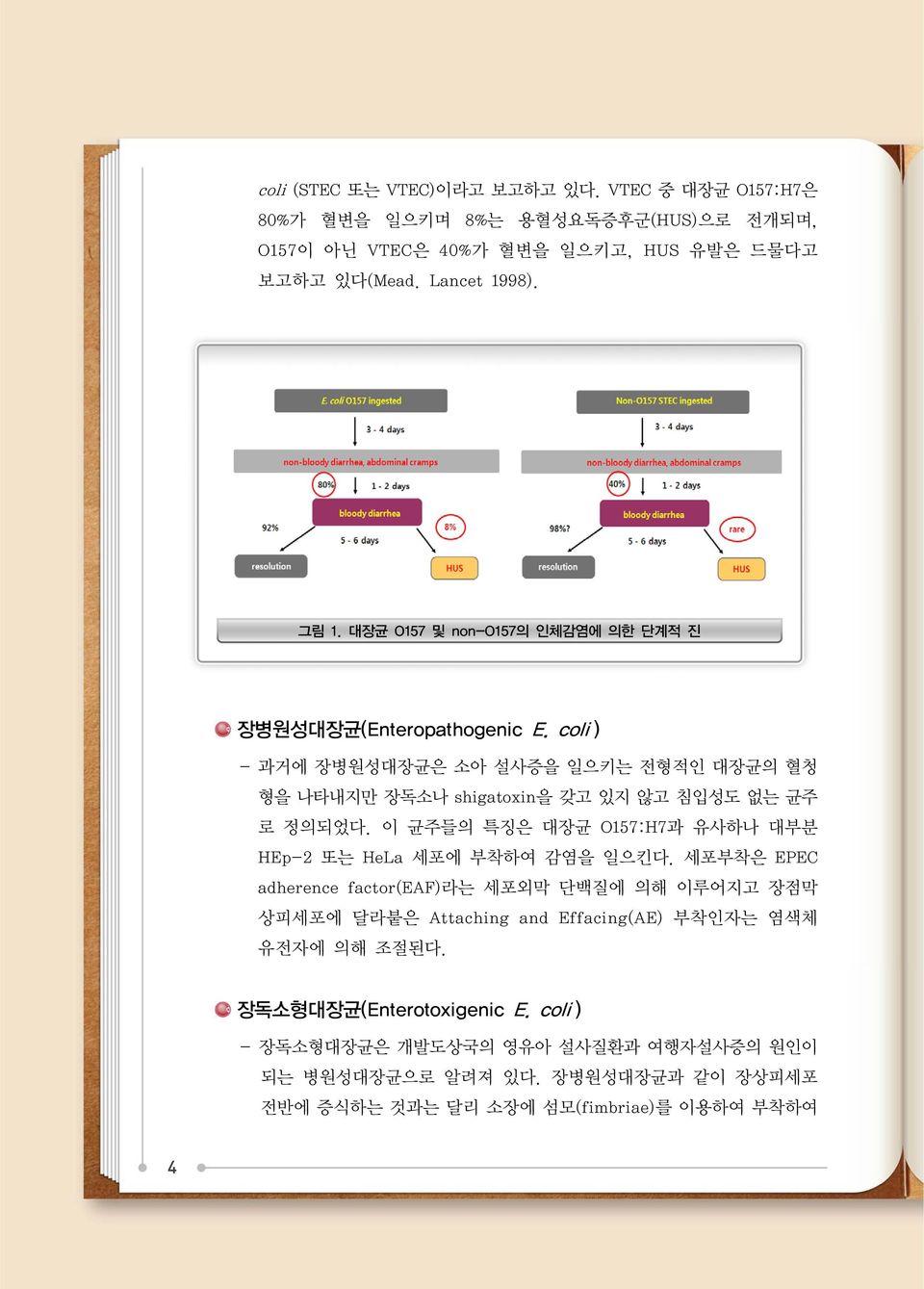 - 과거에 장병원성대장균은 소아 설사증을 일으키는 전형적인 대장균의 혈청 형을 나타내지만 장독소나 shigatoxin을 갖고 있지 않고 침입성도 없는 균주 로 정의되었다.