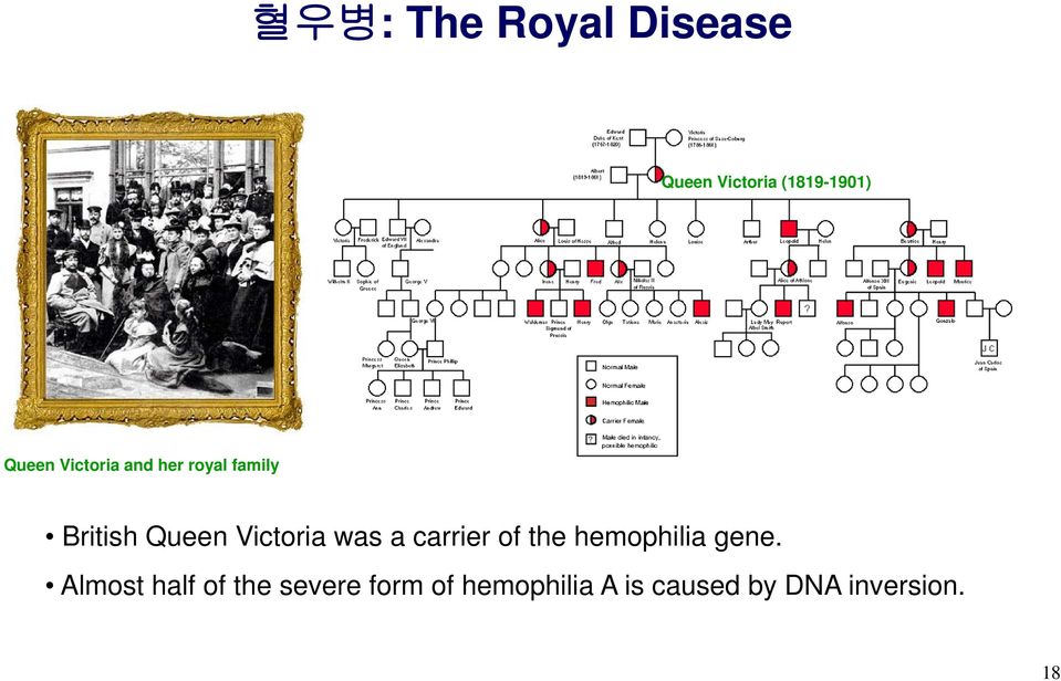 a carrier of the hemophilia gene.