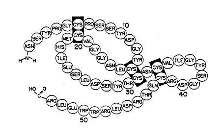 오일러경로 ( 한붓그리기, Euler path, Eulerian path) 그래프이론에서오일러경로 (Euler path, Eulerian path) 는그래프의모든변을단한번씩만통과하는경로를뜻한다. 1736년레온하르트오일러가쾨니히스베르크의다리문제를푼것에서유래되었다. 흔히한붓그리기문제라고도한다.