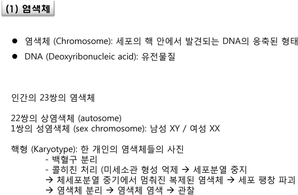 성염색체 (sex chromosome): 남성 XY / 여성 XX 핵형 (Karyotype): ayotype): 한 개인의