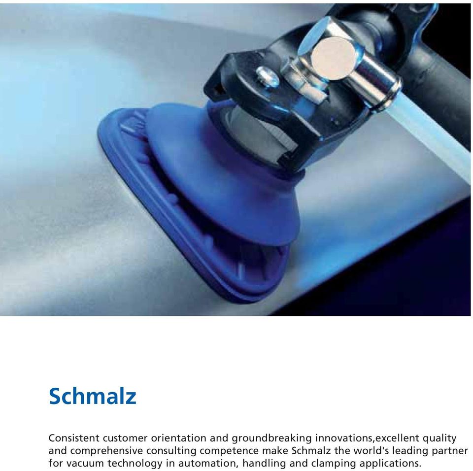 competence make Schmalz the world's leading partner for