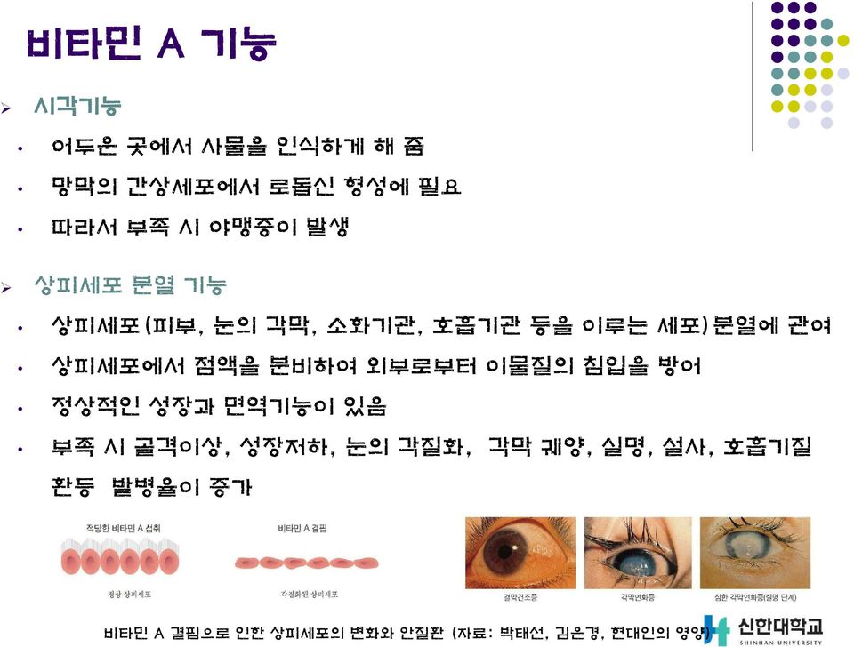 분비하여 외부로부터 이물질의 침입을 방어 정상적인 성장과 면역기능이 있음 부족 시 골격이상, 성장저하, 눈의 각질화, 각막