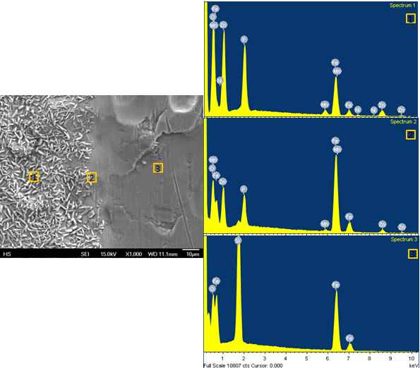 STEEL SURFACE UNIFORMITY ASSESMENT METHOD FOR ELECTROCOATING BY APPLYING LOW CURRENT AND VOLTAGE (a) (b) (c) Fig. 7. SEM images of bare steel and phosphated steel.