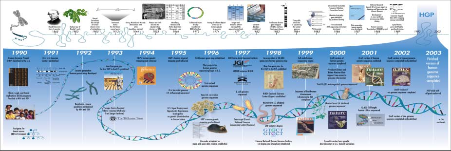 1865, 1990, HGP 1953, & DNA